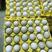 精品小绿壳鸡蛋，480枚每箱，全国物流当天发长期合作