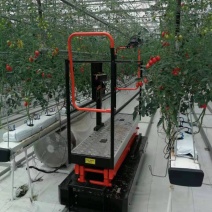 采摘车自动化设备周转车自动牵引车