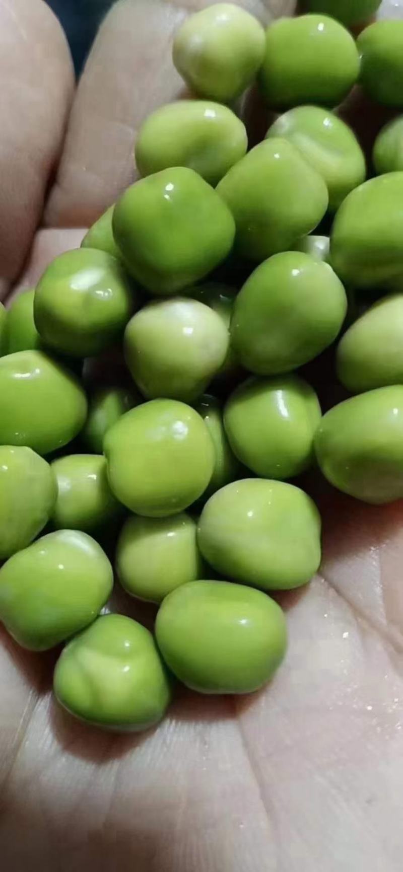 干豌豆青豌豆跑江湖地摊批发产品赶集五谷杂粮