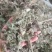芙蓉叶～新货切段～1公斤起售～量大优惠～