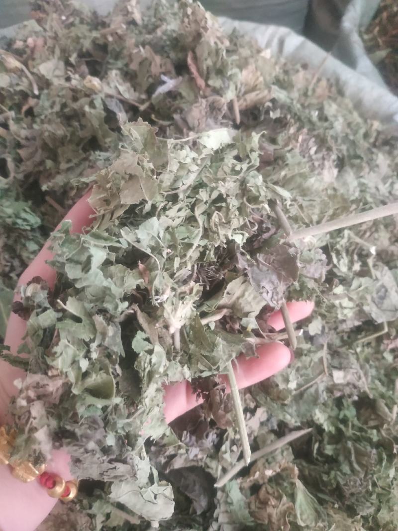 芙蓉叶～新货切段～1公斤起售～量大优惠～