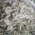 芙蓉叶～新货切段～1公斤起售～量大优惠～