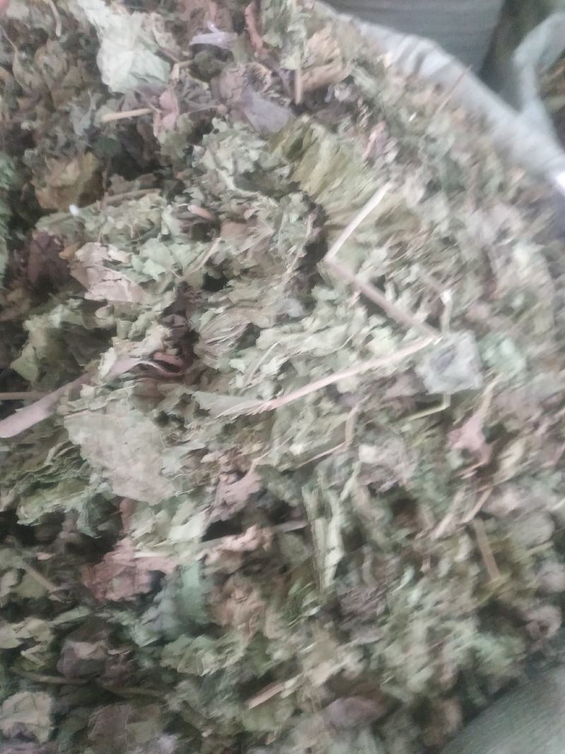 芙蓉叶～新货切段～1公斤起售～量大优惠～