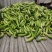 白燕黄瓜无苦味，18公分以下干花带刺