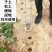 打孔机大棚种植打孔器农用西瓜打洞器蔬菜农用取土器打洞
