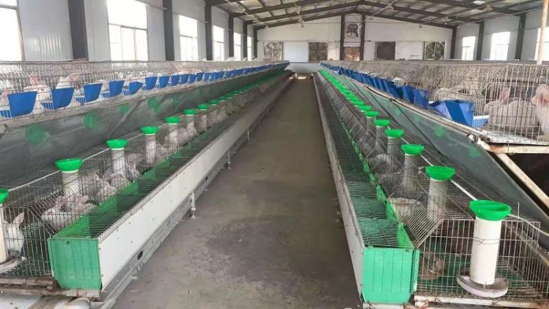 养殖大棚颗粒机欧式兔笼复试兔笼草子颗粒料
