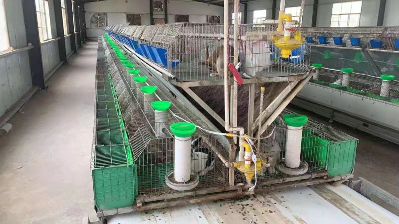 养殖大棚颗粒机欧式兔笼复试兔笼草子颗粒料
