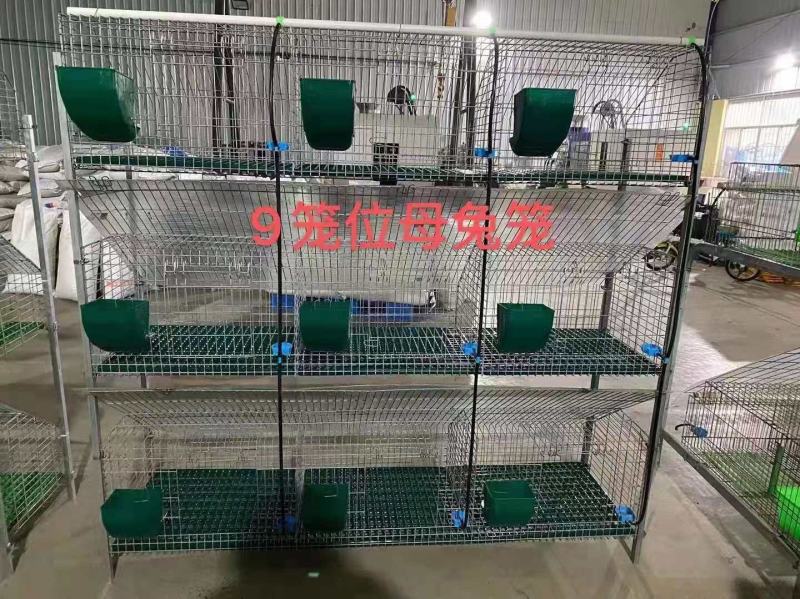 养殖大棚颗粒机欧式兔笼复试兔笼草子颗粒料