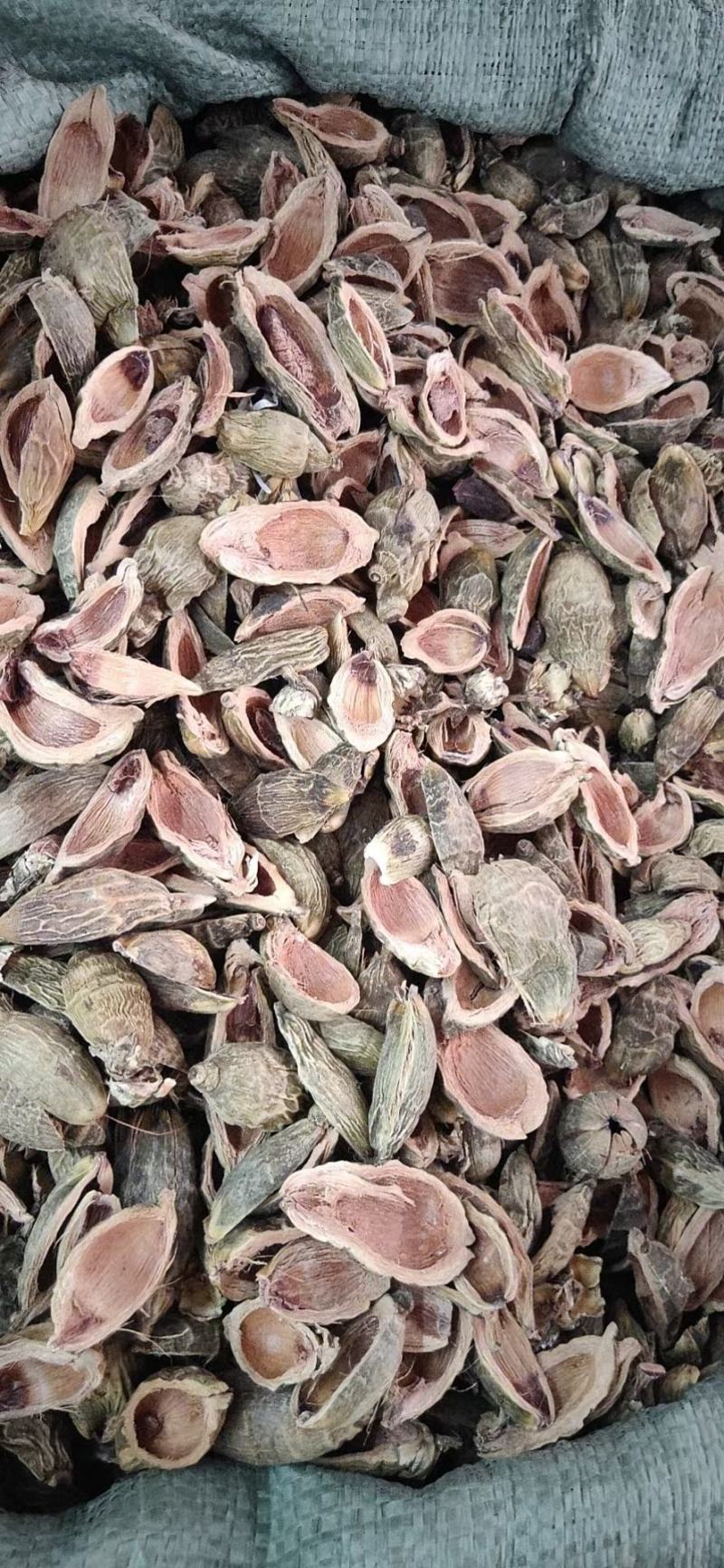 大腹皮槟榔皮大腹毛茯毛中药材批发大腹皮