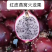 [竞争力强]新品种红皮燕窝火龙果苗市场广阔正品苗