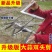 大蒜双头剪剪蒜神器剪蒜机两头蒜剪新款调节蒜铡农用手动不锈
