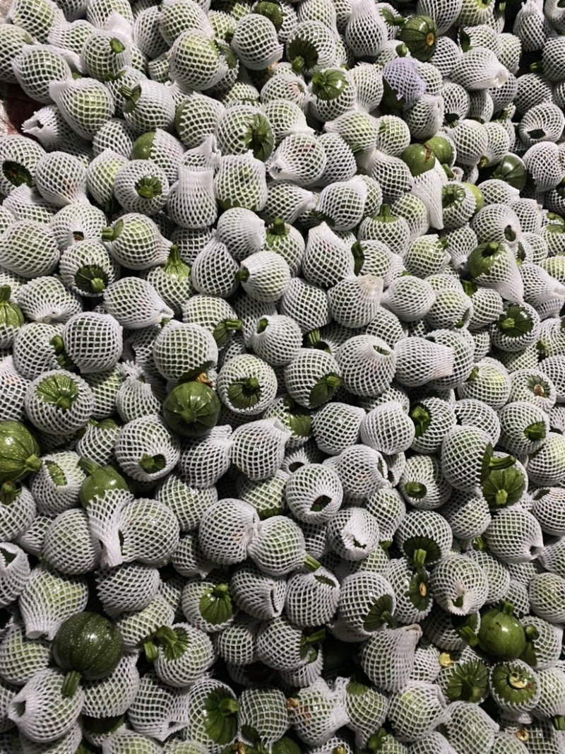 【火热推荐】四川精品小南瓜，嫩南瓜，翡翠南瓜，绿皮小南瓜