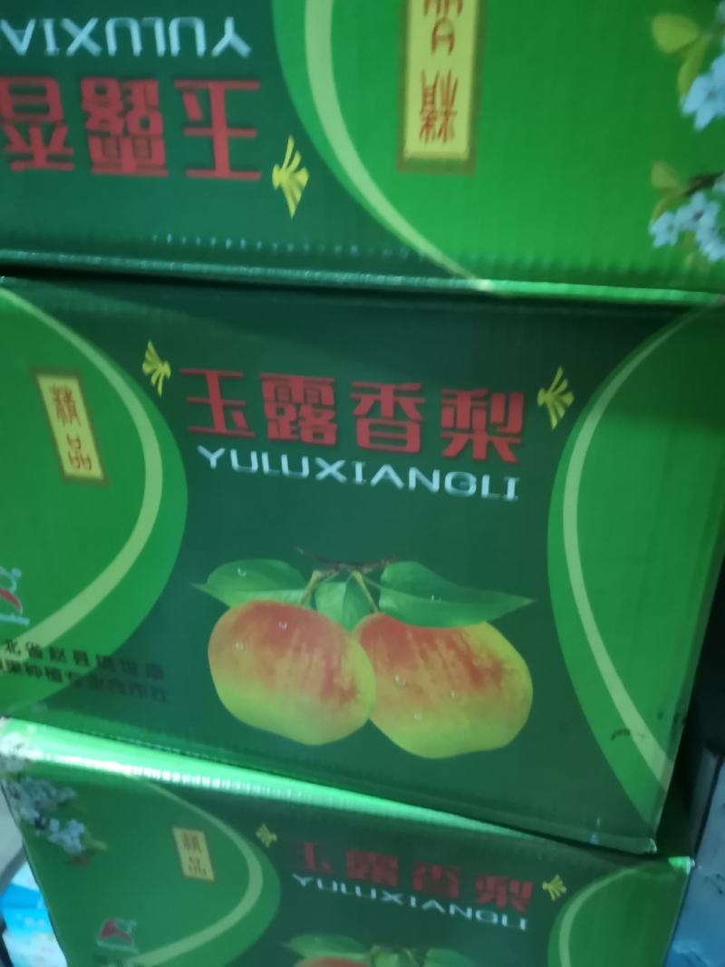 玉露香！产地发货！香梨系列！皮薄肉细，产地直供