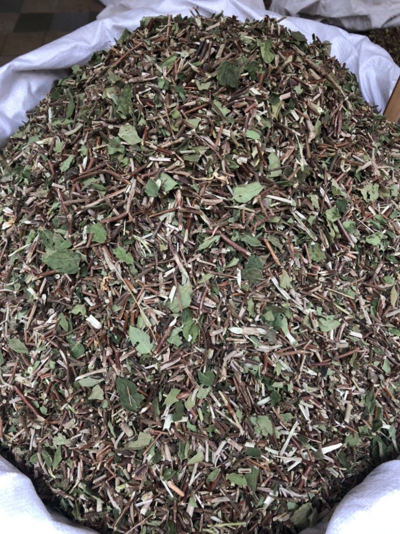 产地直供中药材忍冬藤银花藤银花藤带叶颜清绿