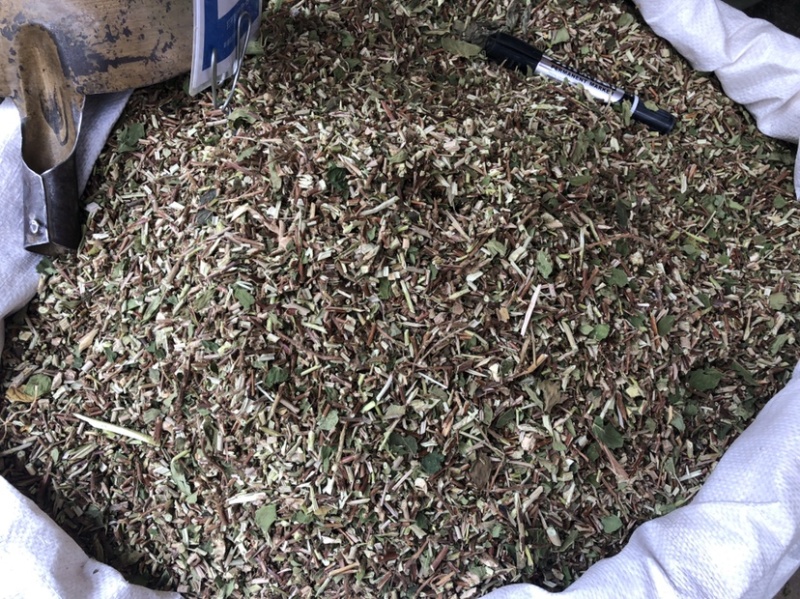 产地直供中药材忍冬藤银花藤银花藤带叶颜清绿