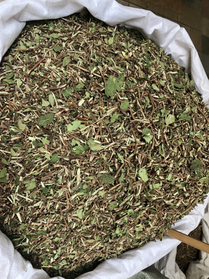 产地直供中药材忍冬藤银花藤银花藤带叶颜清绿