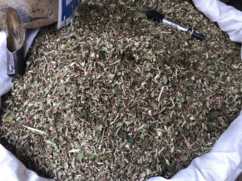 产地直供中药材忍冬藤银花藤银花藤带叶颜清绿