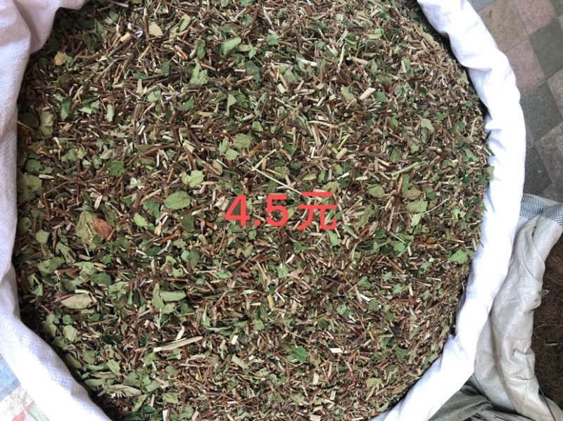 产地直供中药材忍冬藤银花藤银花藤带叶颜清绿