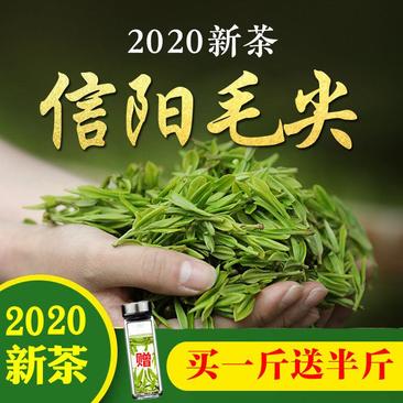 茶叶【买一斤送半斤】信阳毛尖新茶浓香型高山绿茶产地直