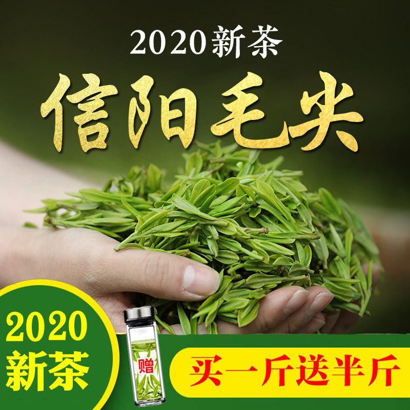 茶叶【买一斤送半斤】信阳毛尖新茶浓香型高山绿茶产地直