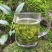 茶叶【买一斤送半斤】信阳毛尖新茶浓香型高山绿茶产地直