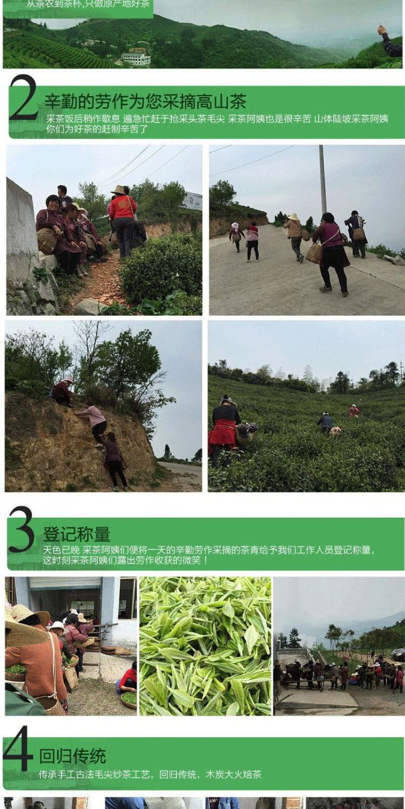 茶叶【买一斤送半斤】信阳毛尖新茶浓香型高山绿茶产地直