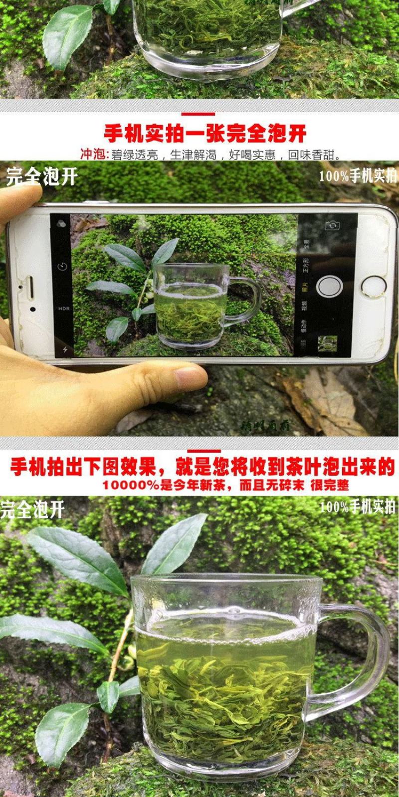 茶叶【买一斤送半斤】信阳毛尖新茶浓香型高山绿茶产地直