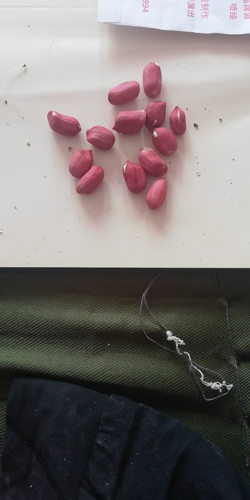 水果花生鲜食花生品种。适合生吃，以及煮熟吃口感好，出油率
