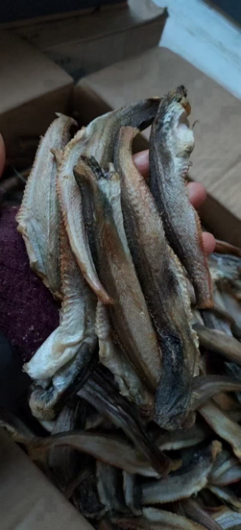 深海小龙鱼干鲅鱼干整件批发地摊经济整件批发6成干鱼干