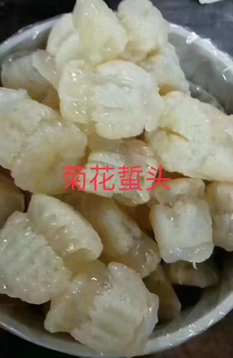 大量到货，菊花海蜇头、红蛰头、白花叶片海蜇头、蛰丝……