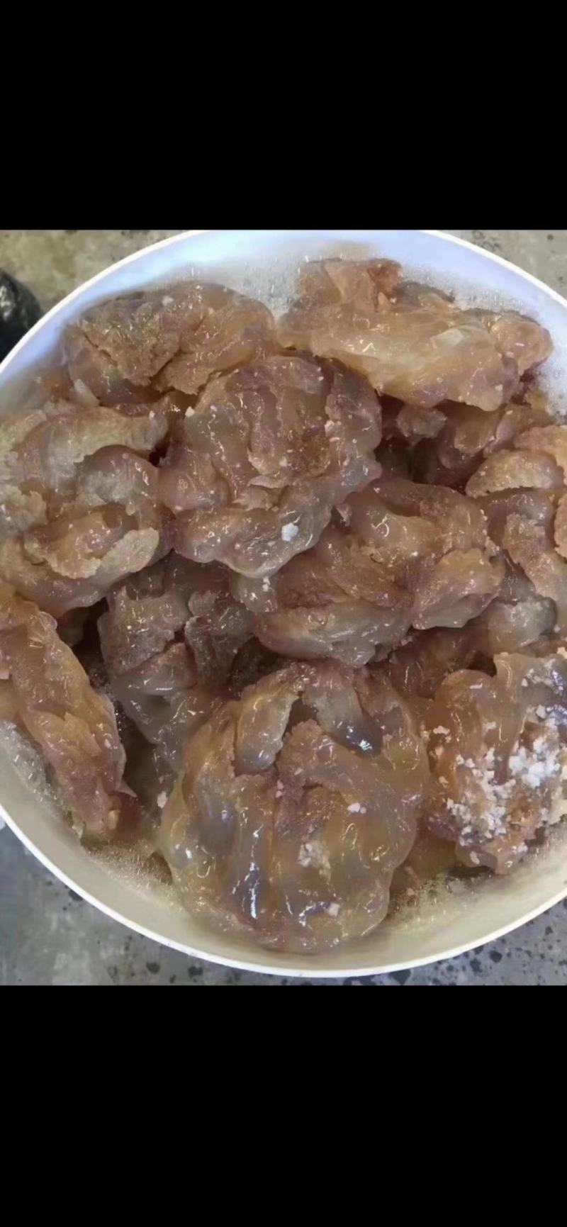 大量到货，菊花海蜇头、红蛰头、白花叶片海蜇头、蛰丝……