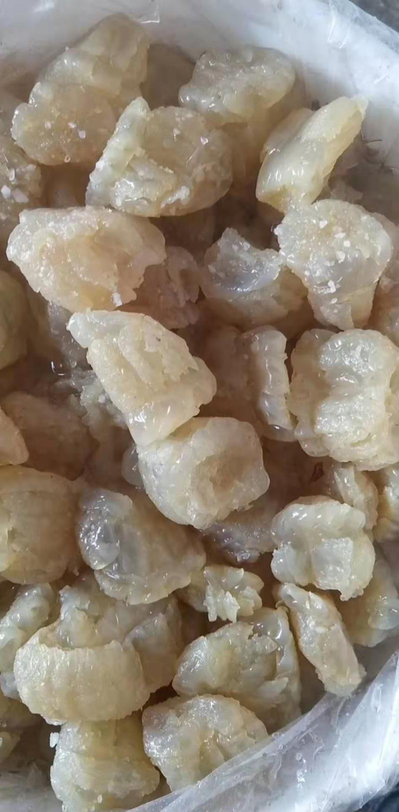 大量到货，菊花海蜇头、红蛰头、白花叶片海蜇头、蛰丝……