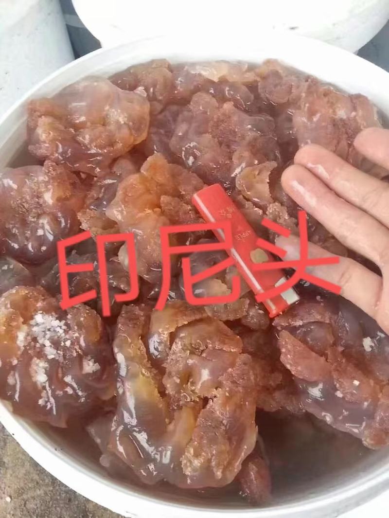 大量到货，菊花海蜇头、红蛰头、白花叶片海蜇头、蛰丝……