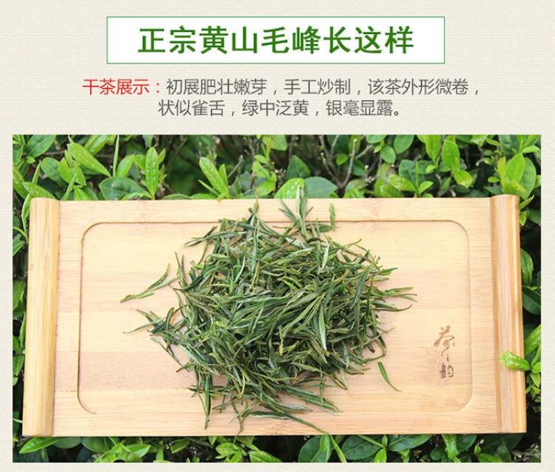 云天裕新茶叶绿茶黄山毛峰散装毛尖高山云雾春茶安徽特产包邮