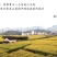 云天裕新茶叶绿茶黄山毛峰散装毛尖高山云雾春茶安徽特产包邮