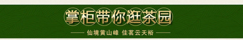 云天裕新茶叶绿茶黄山毛峰散装毛尖高山云雾春茶安徽特产包邮