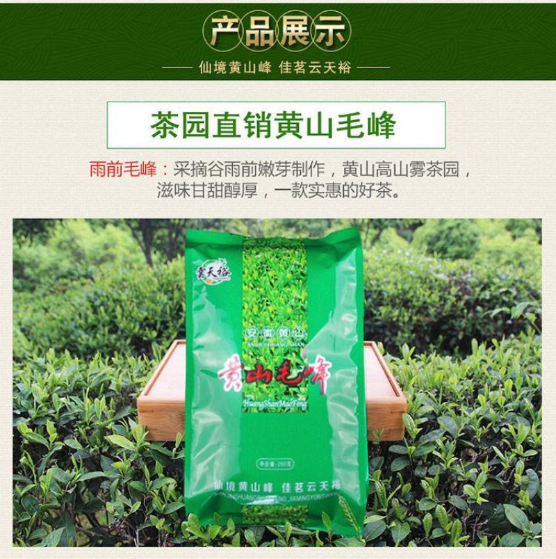 云天裕新茶叶绿茶黄山毛峰散装毛尖高山云雾春茶安徽特产包邮