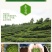 云天裕新茶叶绿茶黄山毛峰散装毛尖高山云雾春茶安徽特产包邮