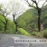 云天裕新茶叶绿茶黄山毛峰散装毛尖高山云雾春茶安徽特产包邮