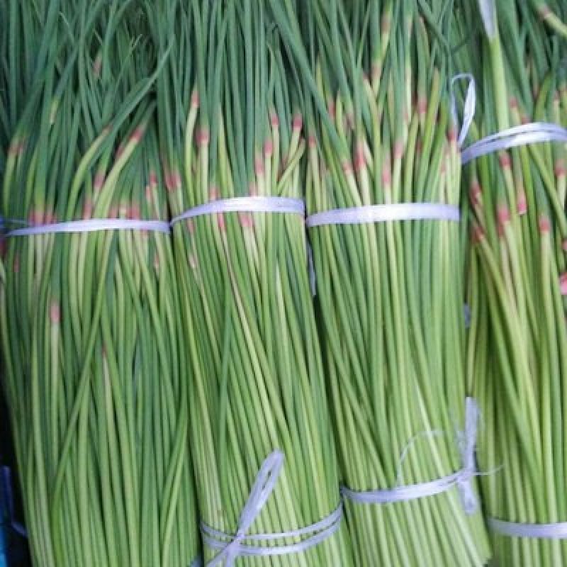 开封祥符精品红帽蒜薹大量供应一手货源量大从优