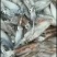 船冻鱿鱼，品质新鲜，肉厚口感脆，各个城市都有物流专线
