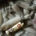 船冻鱿鱼，品质新鲜，肉厚口感脆，各个城市都有物流专线