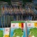 明生种业203夏阳白菜种子3-10月播种40天大白菜耐热