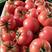 硬粉西红柿，个头均匀，色泽鲜亮，产地直供，货源充足