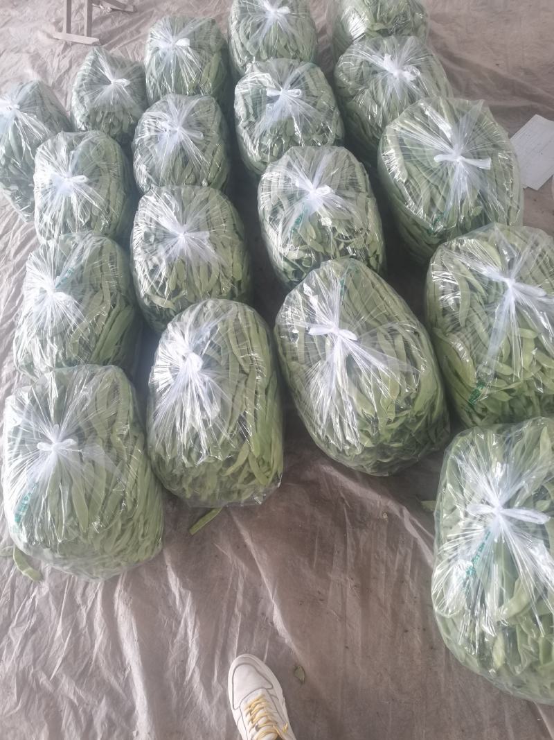 扁豆，绿扁豆，大量精品上市中