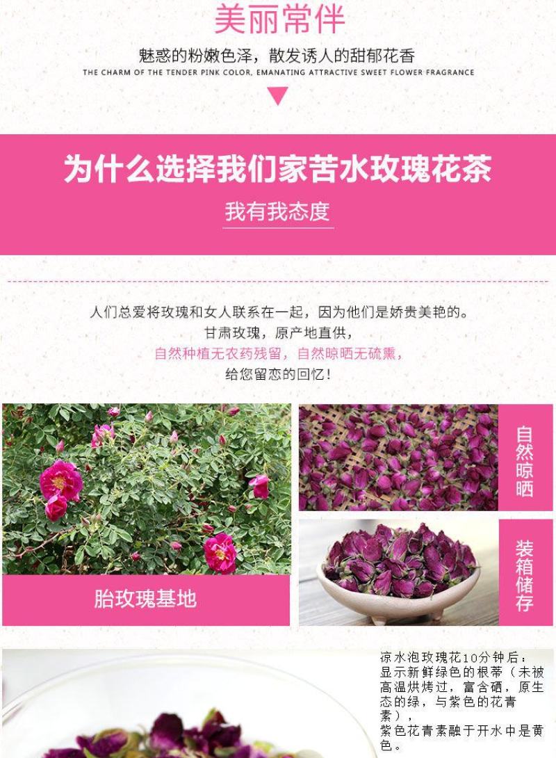 苦水玫瑰花茶天然无硫干玫瑰甘肃兰州永登紫玫瑰富硒花蕾