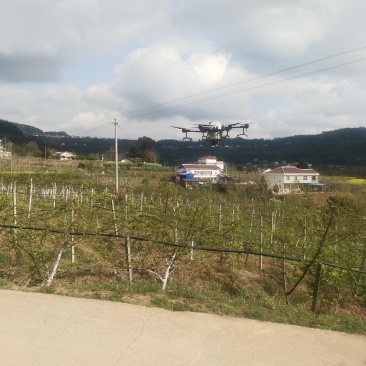无人机植保打农药水稻小麦果树病虫害防治省时省事又省力