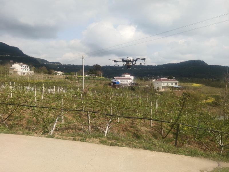 无人机植保打农药水稻小麦果树病虫害防治省时省事又省力