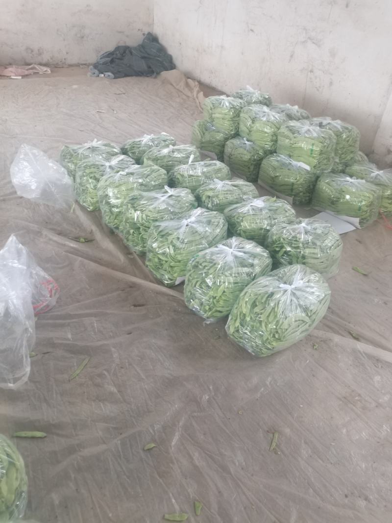 莘县绿扁芸豆，一手货源