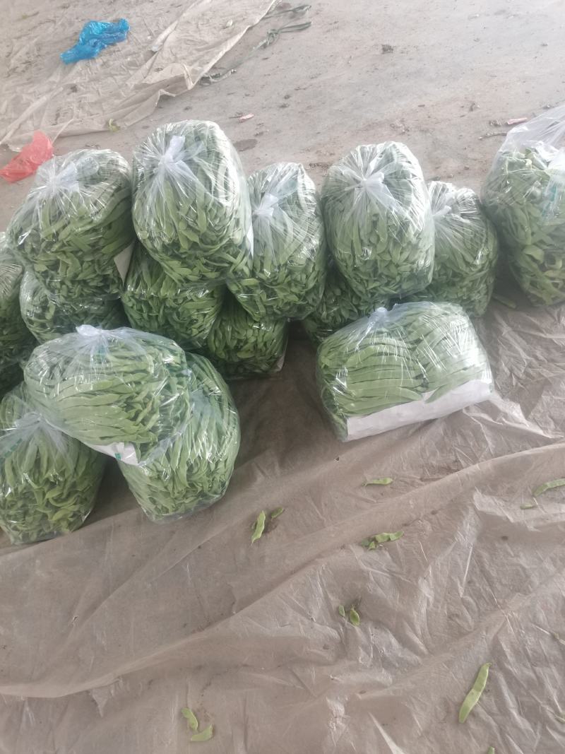 莘县绿扁芸豆，一手货源